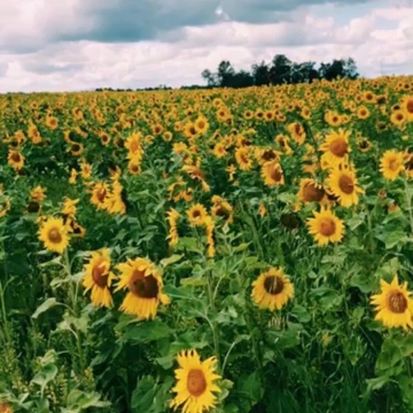 Meet your Posher, Taylor - Picture 1 of 1